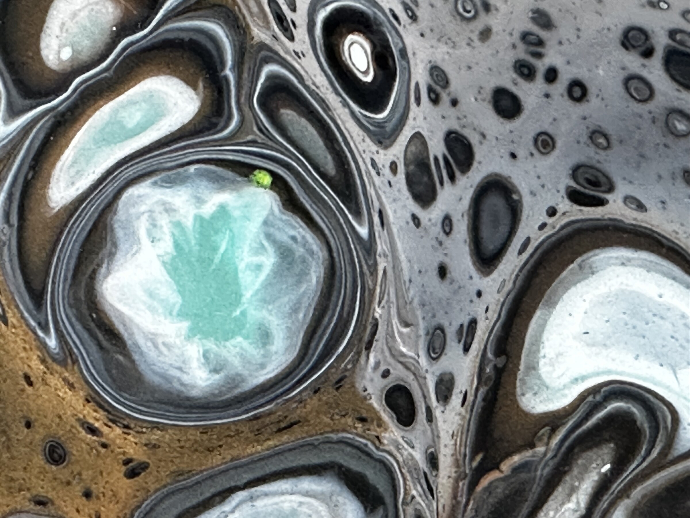 Concentric ring cell formation in the paint skin surface